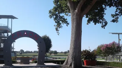 Les pronostics hippiques pour ce dimanche 27 septembre